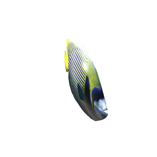 emperor angelfish